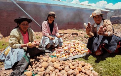 Encuentro Nacional de Agricultura Ecológica: del 8 al 11 de noviembre