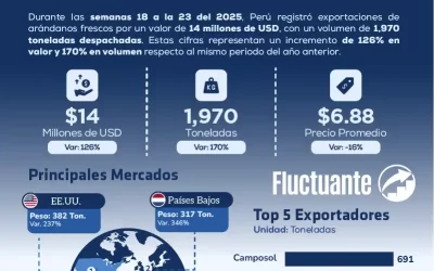 Perú inicia la campaña 2025/2026 de arándanos con cifras récord