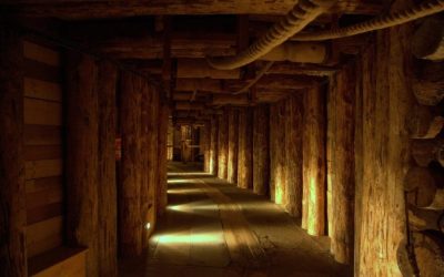 ¿Por qué el eucalipto es la mejor opción para sostenimiento en minería subterránea?